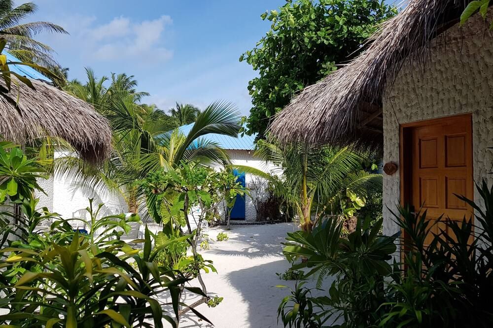 المظهر الخارجي