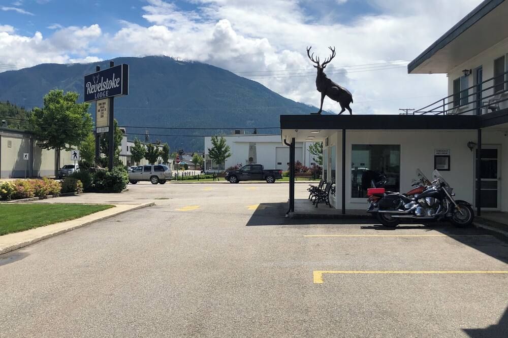 المظهر الخارجي