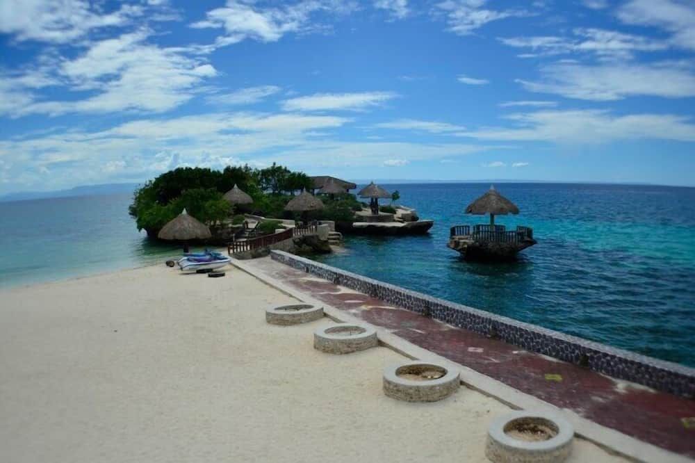 شاطئ صورة