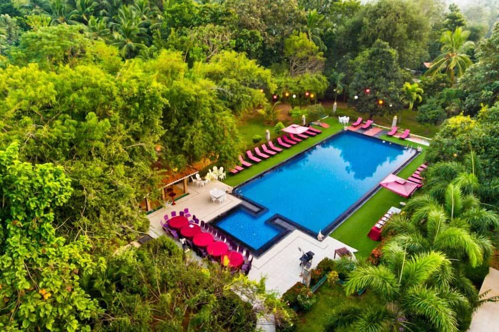 حوض السباحة