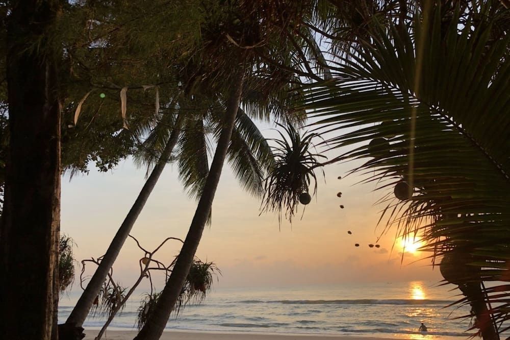 المظهر الخارجي