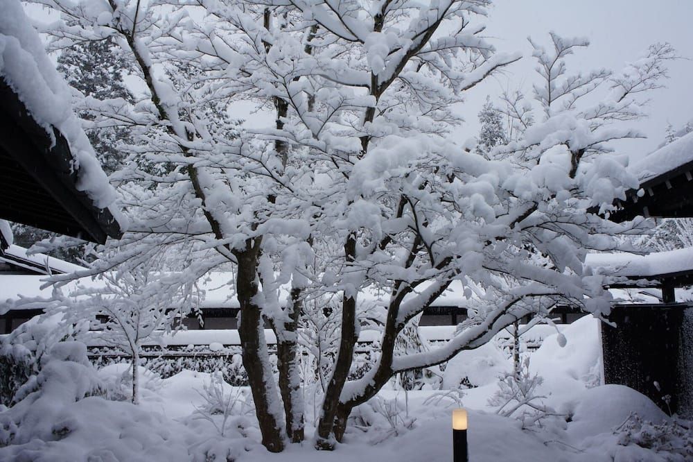 المظهر الخارجي