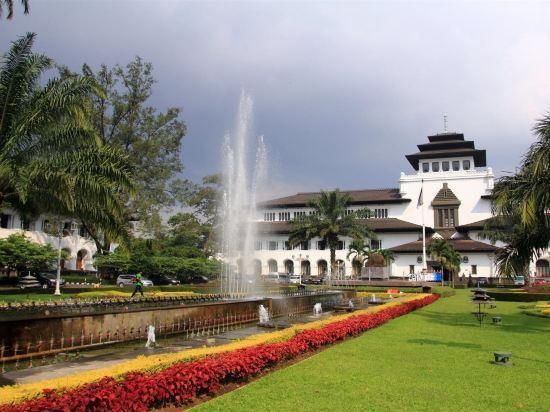 المظهر الخارجي