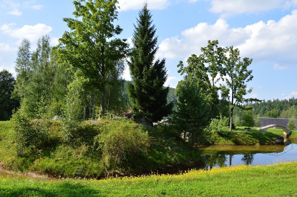 المظهر الخارجي