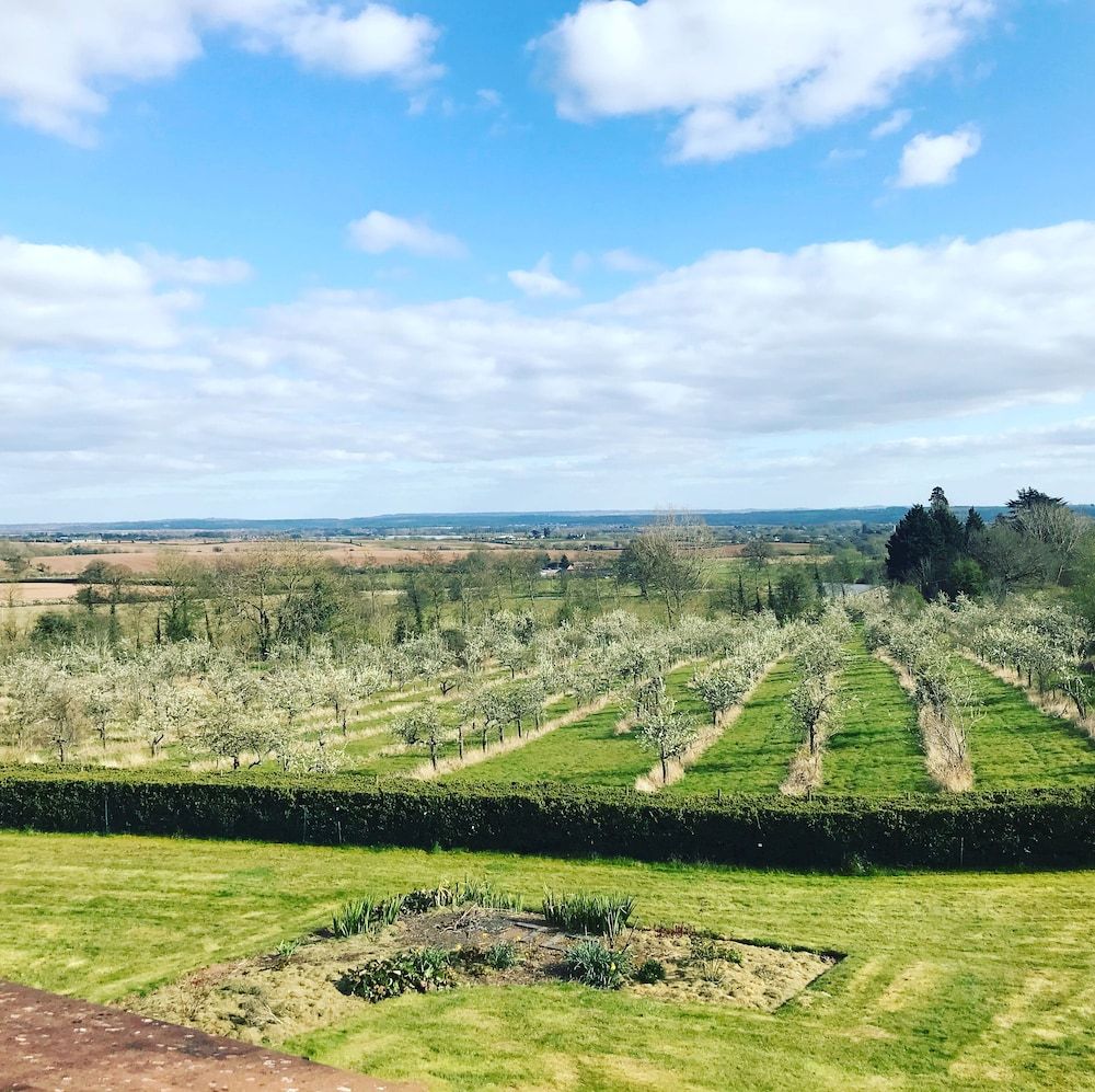 المظهر الخارجي