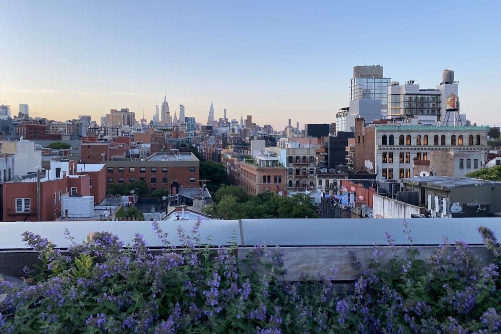 المظهر الخارجي