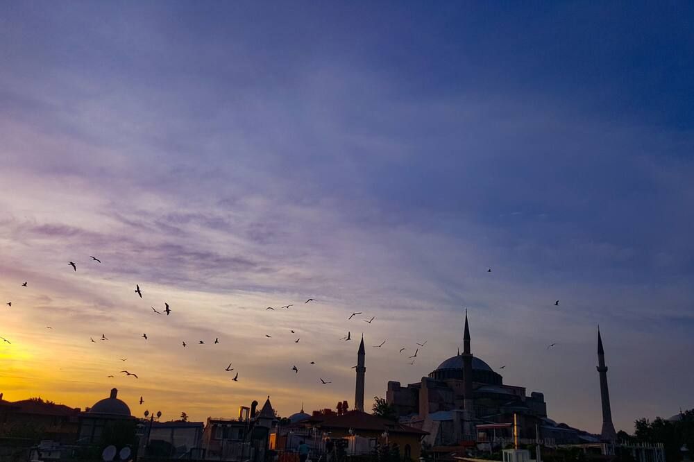 المظهر الخارجي