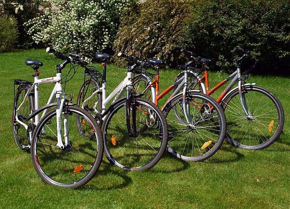 المظهر الخارجي