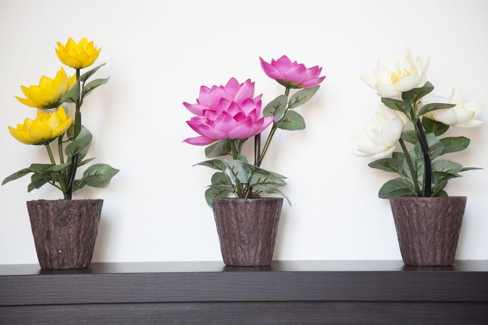 وسائل راحة في الغرف