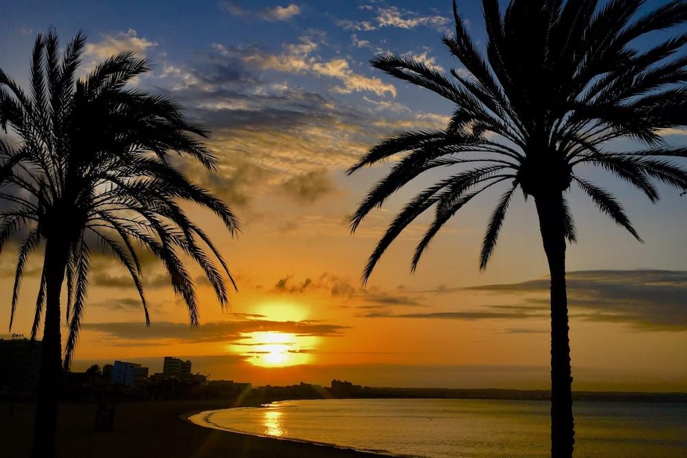 المظهر الخارجي