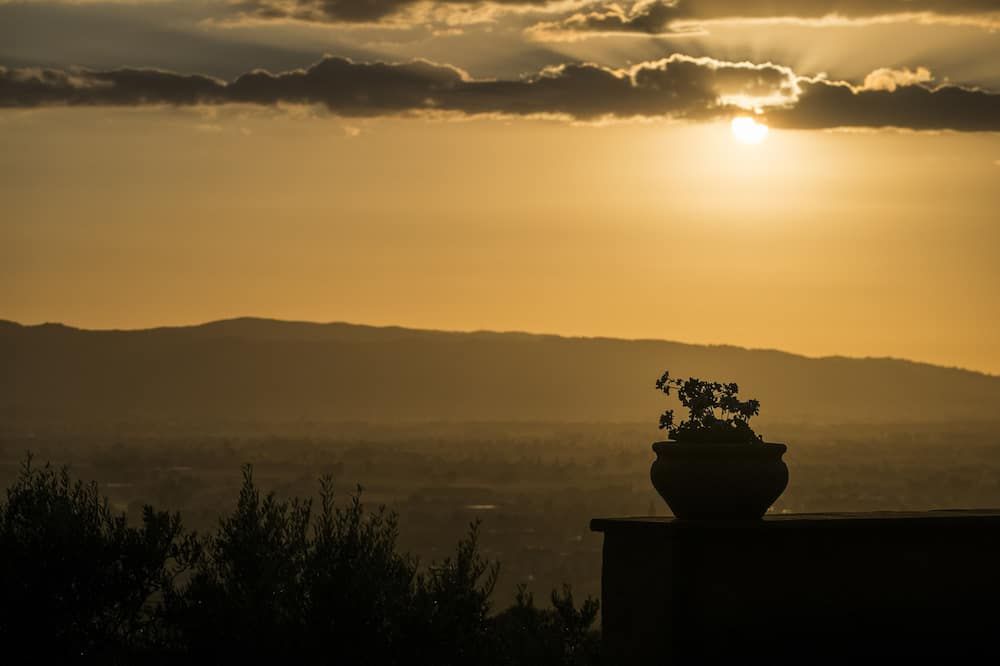 المظهر الخارجي
