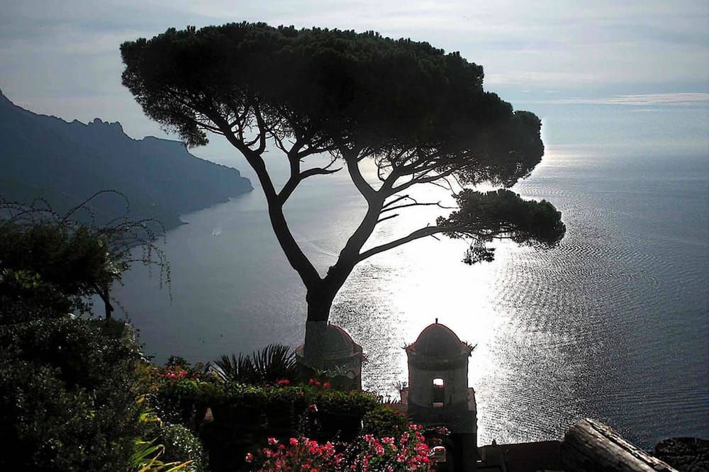 المظهر الخارجي