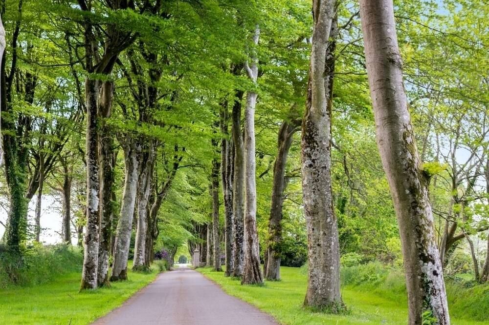 المظهر الخارجي