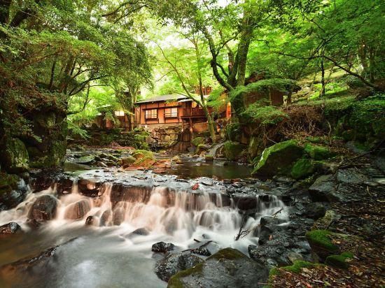 المظهر الخارجي