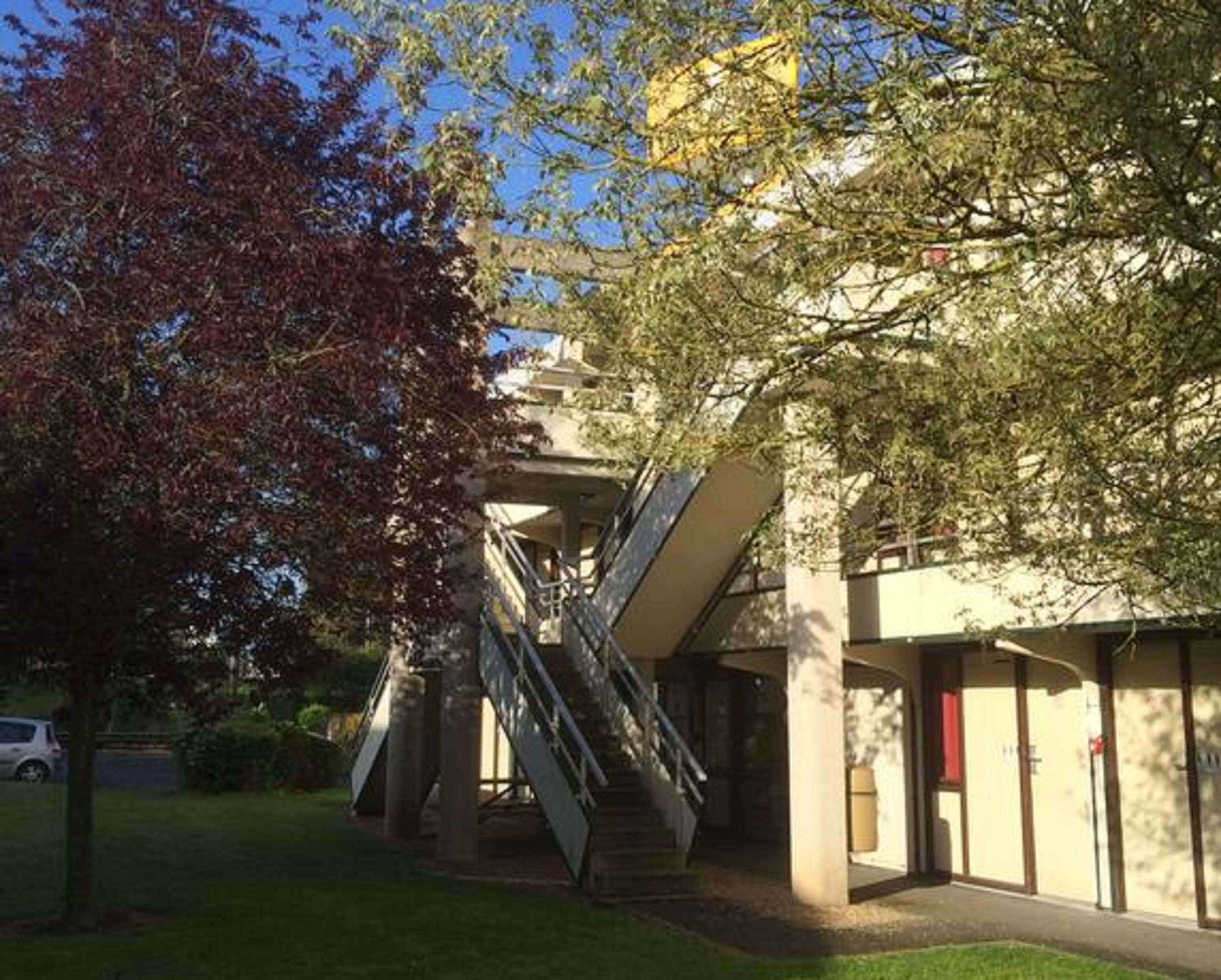 المظهر الخارجي