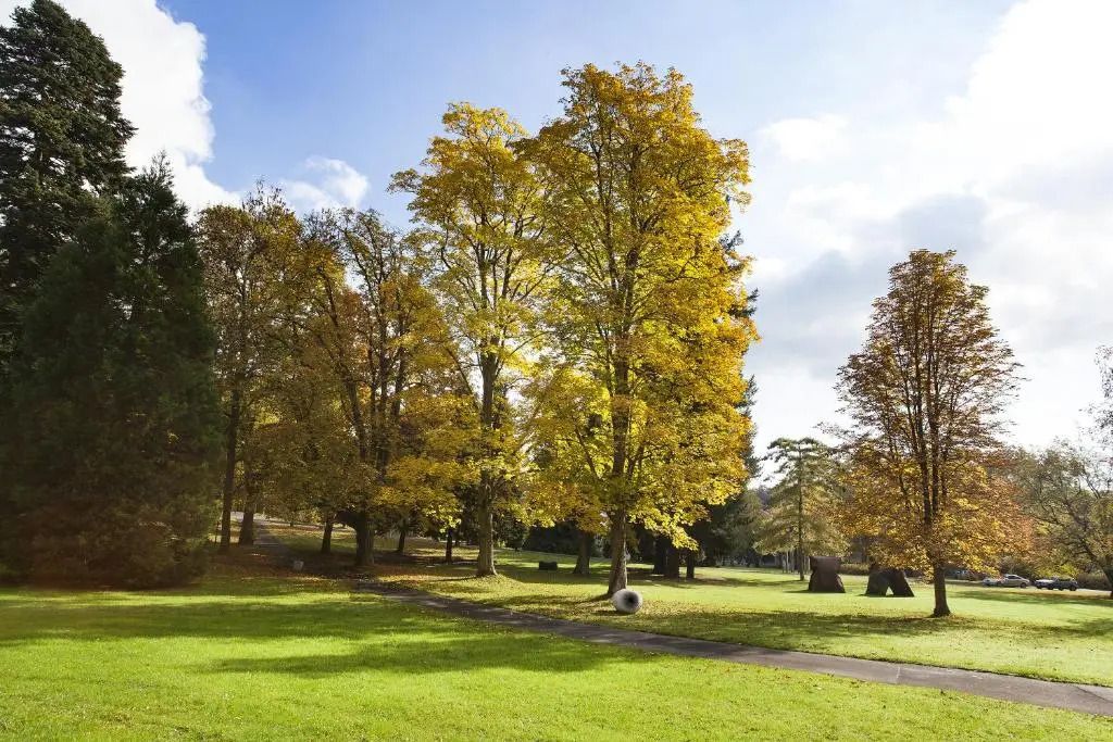 المظهر الخارجي