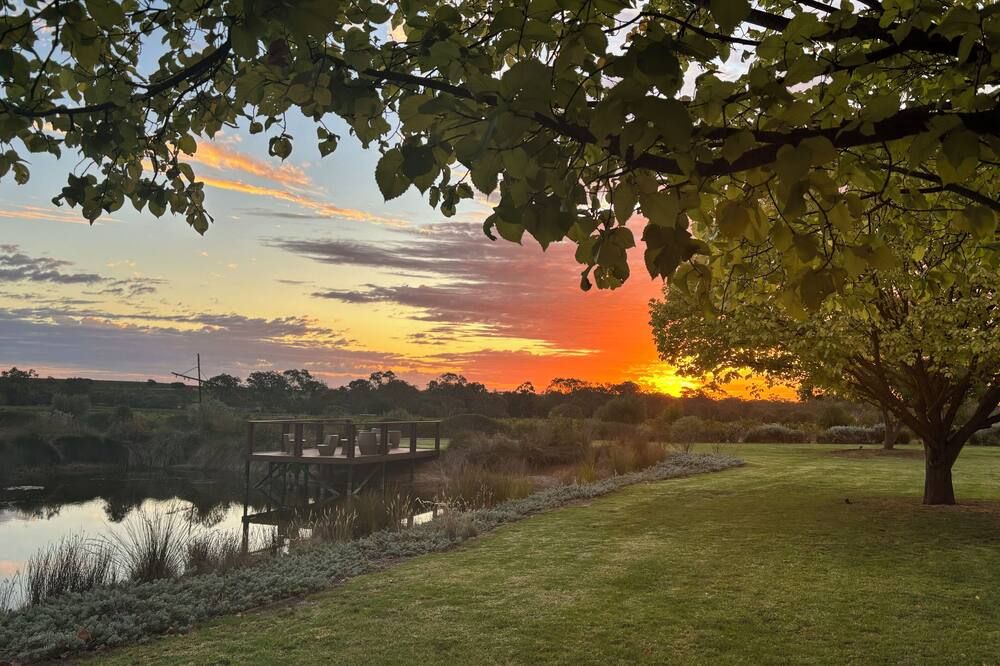 المظهر الخارجي