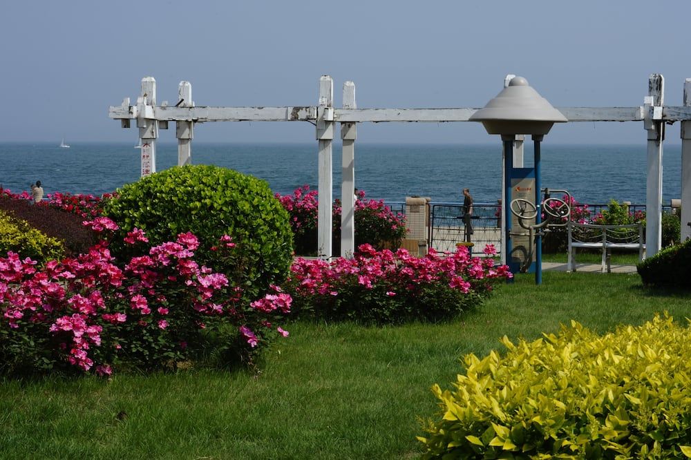 المظهر الخارجي