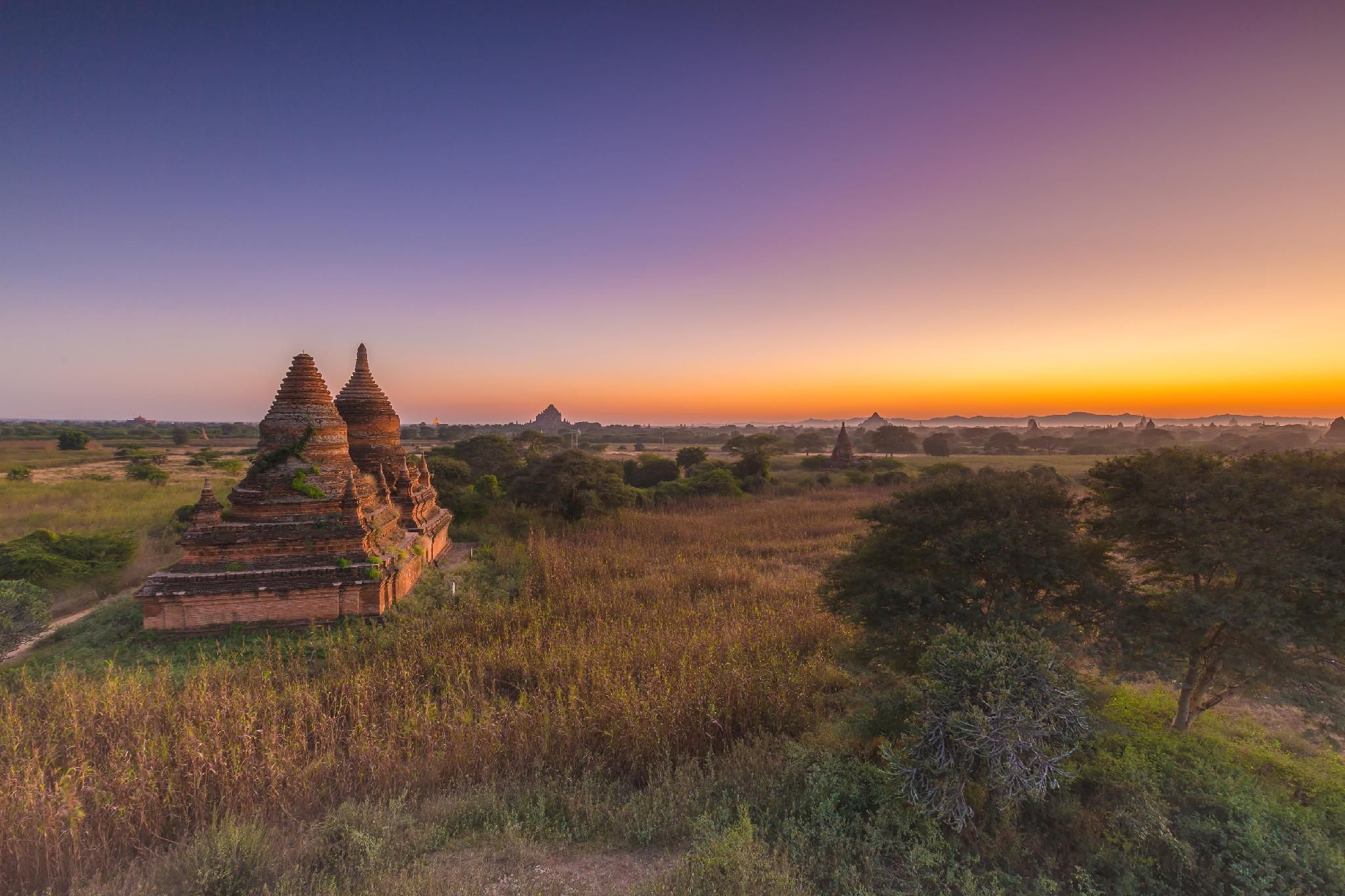 المظهر الخارجي
