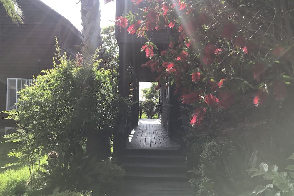 المظهر الخارجي