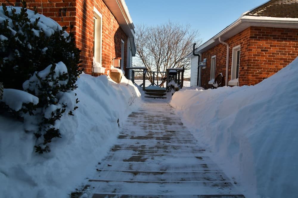 المظهر الخارجي