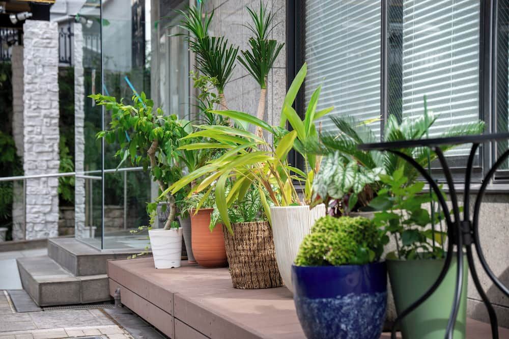 المظهر الخارجي