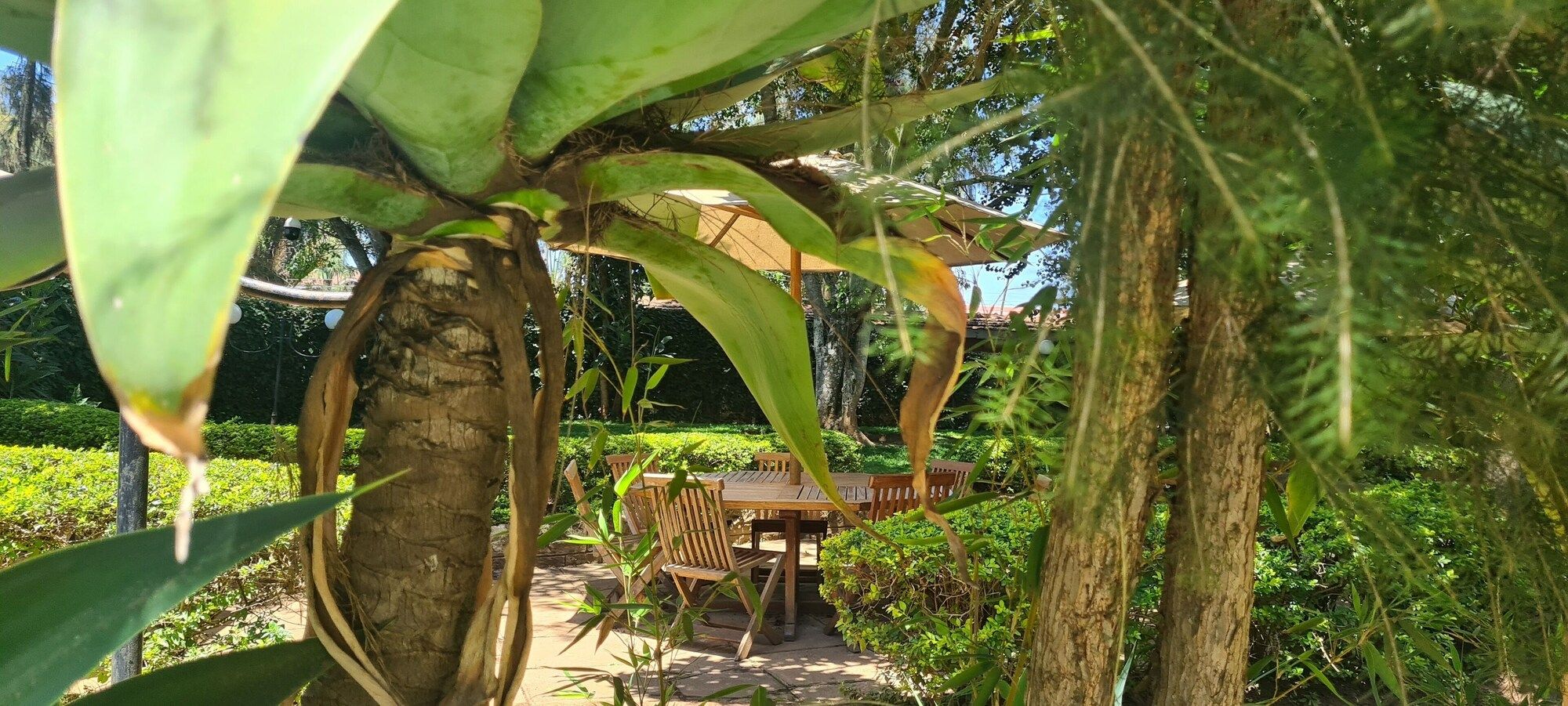 المظهر الخارجي