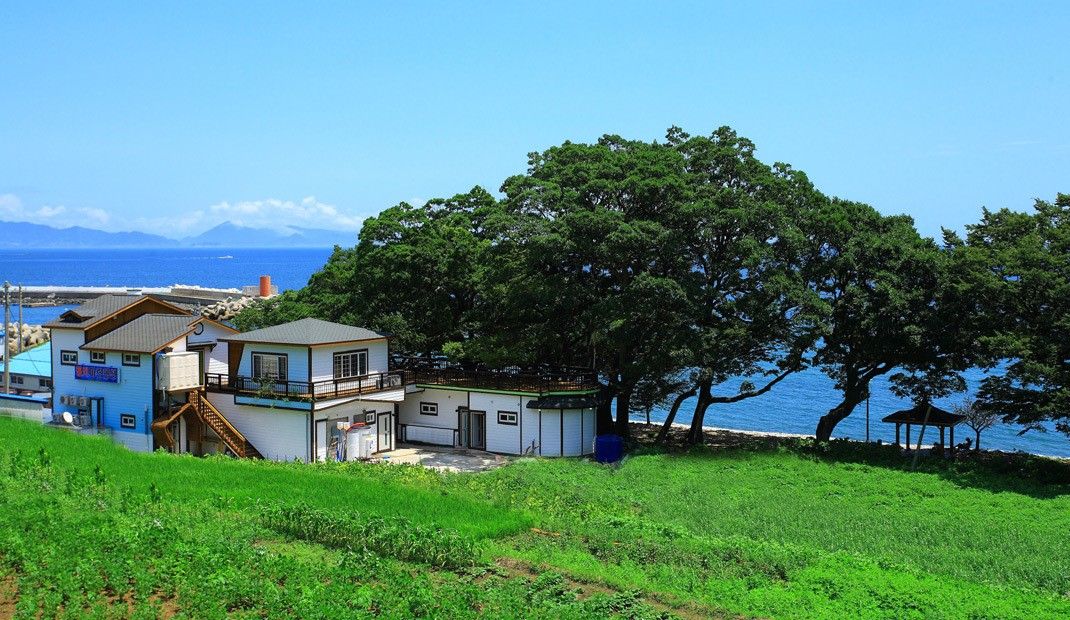 المظهر الخارجي