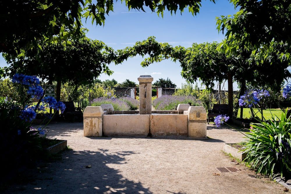 المظهر الخارجي