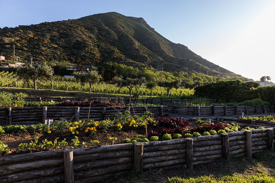 المظهر الخارجي