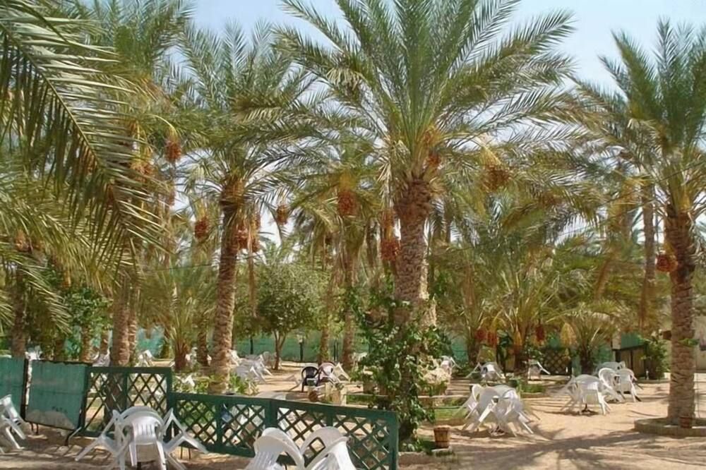 المظهر الخارجي