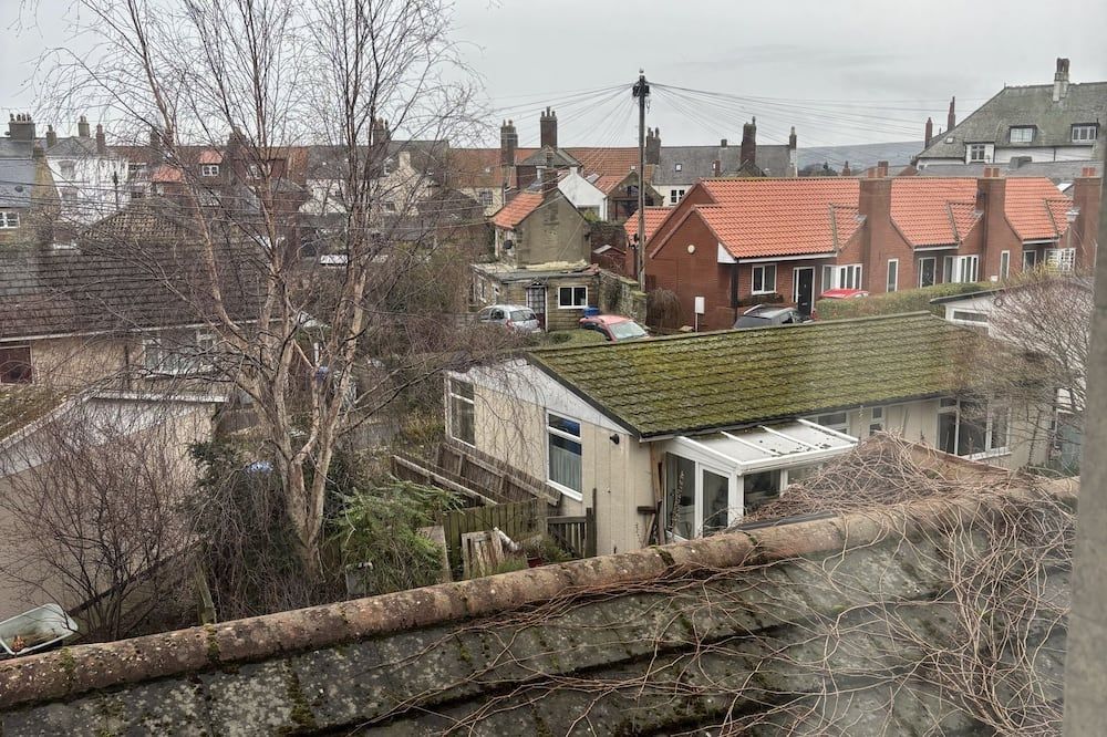 المظهر الخارجي