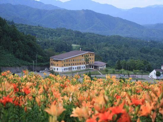 المظهر الخارجي