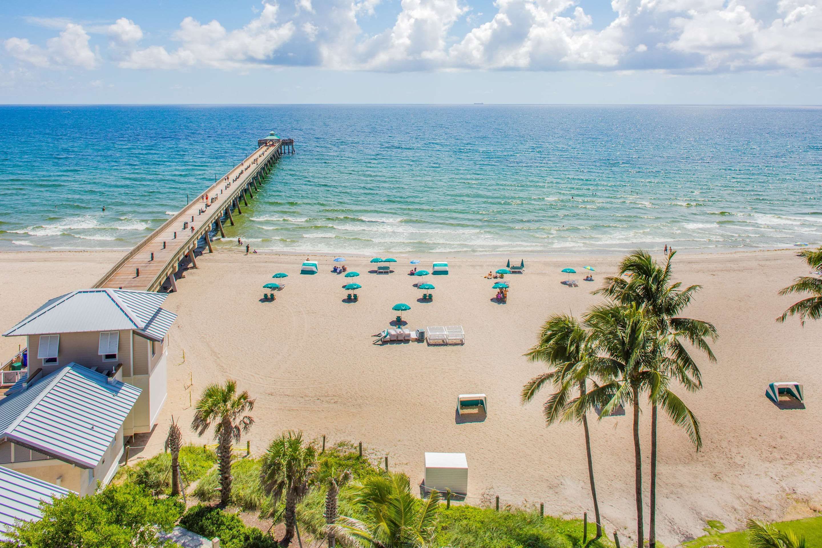 شاطئ