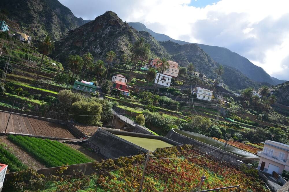 المظهر الخارجي