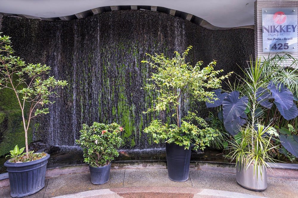 المظهر الخارجي