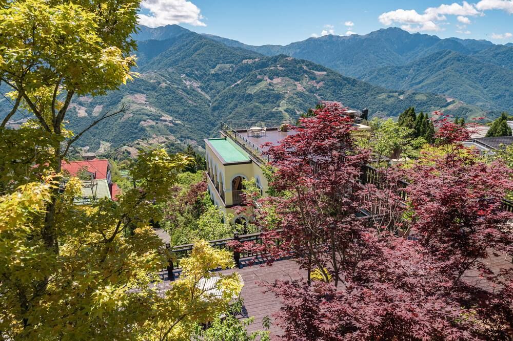 المظهر الخارجي