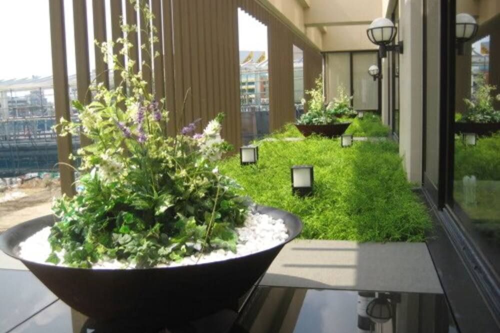 المظهر الخارجي