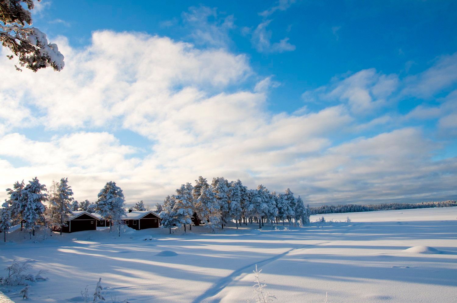 المظهر الخارجي