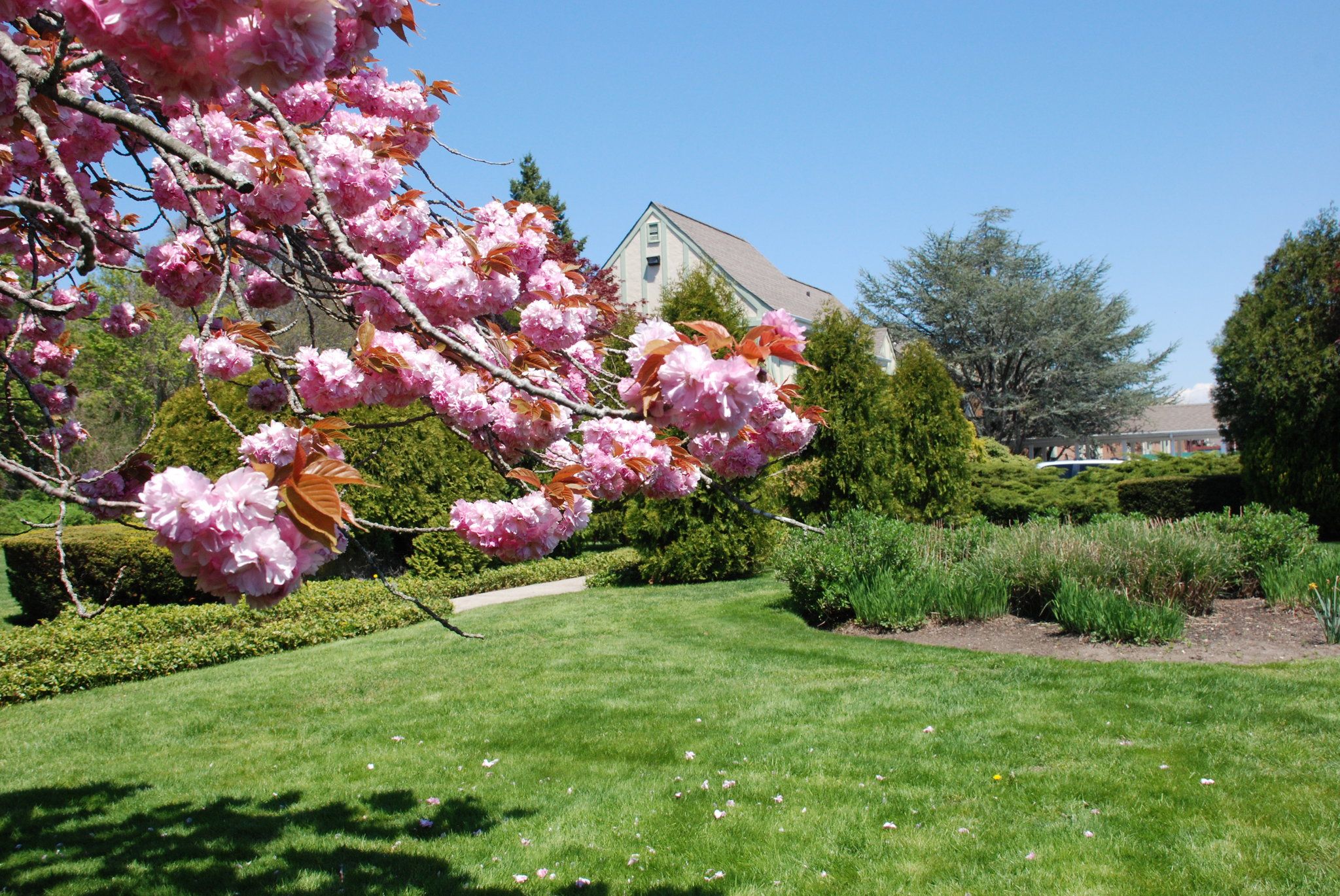 المظهر الخارجي