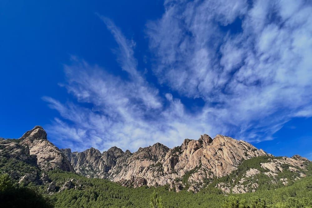 المظهر الخارجي