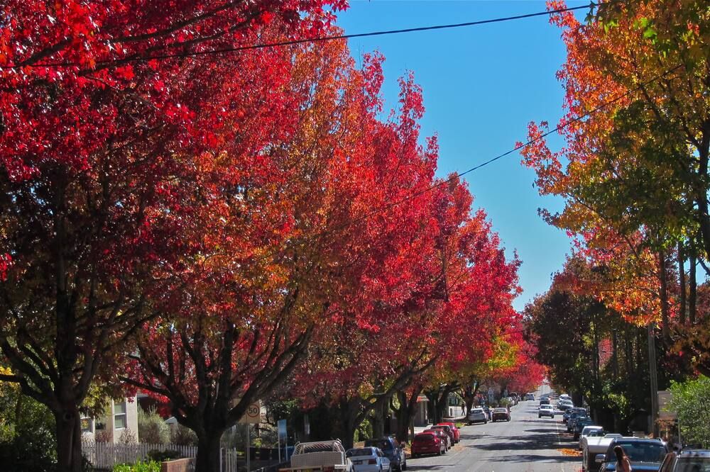 المظهر الخارجي