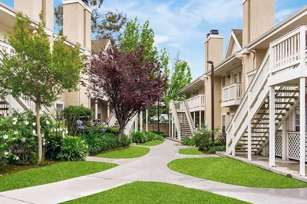 المظهر الخارجي