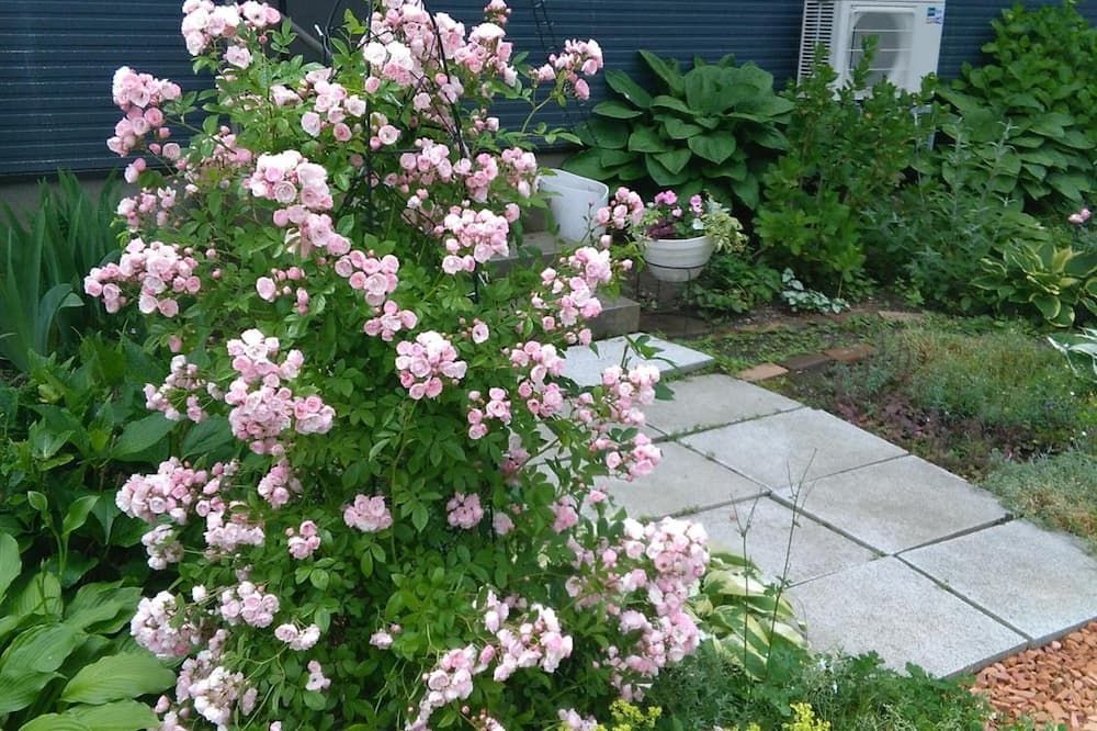 المظهر الخارجي