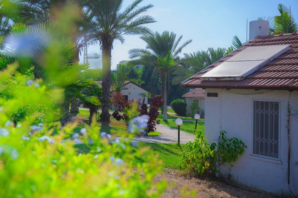 المظهر الخارجي