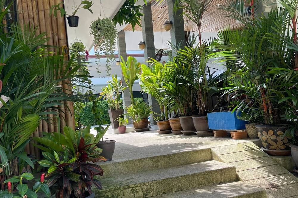 المظهر الخارجي