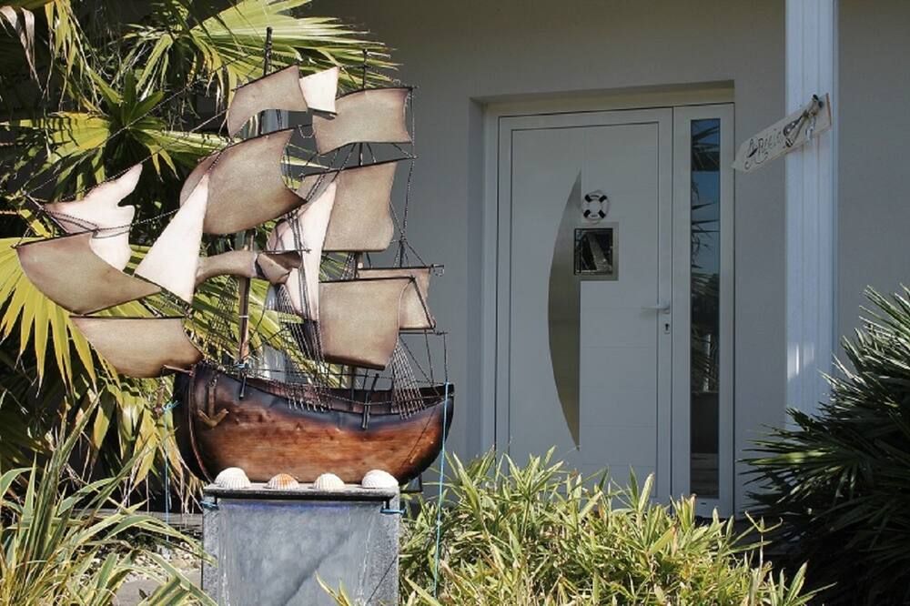 المظهر الخارجي