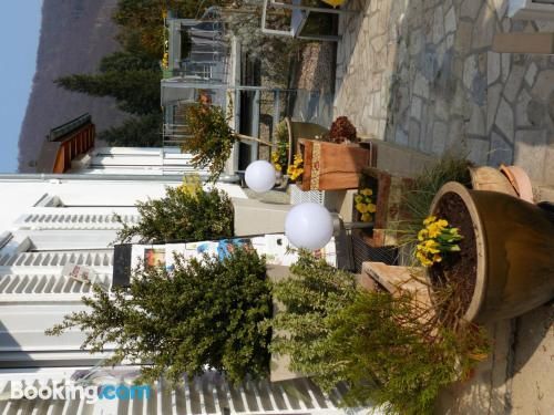 المظهر الخارجي