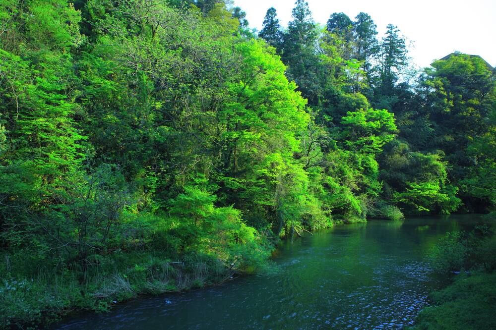 المظهر الخارجي