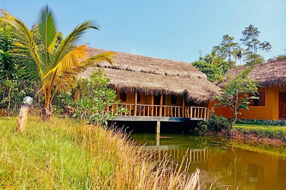 المظهر الخارجي